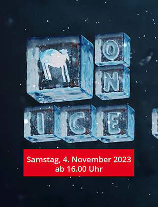 Bild von Schaf on Ice 04.11.2023 (inkl. Schlittschuhe)